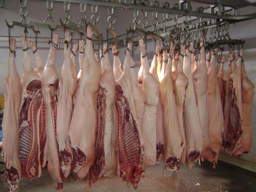 濟(jì)南金鑼豬肉 濟(jì)南金鑼豬肉